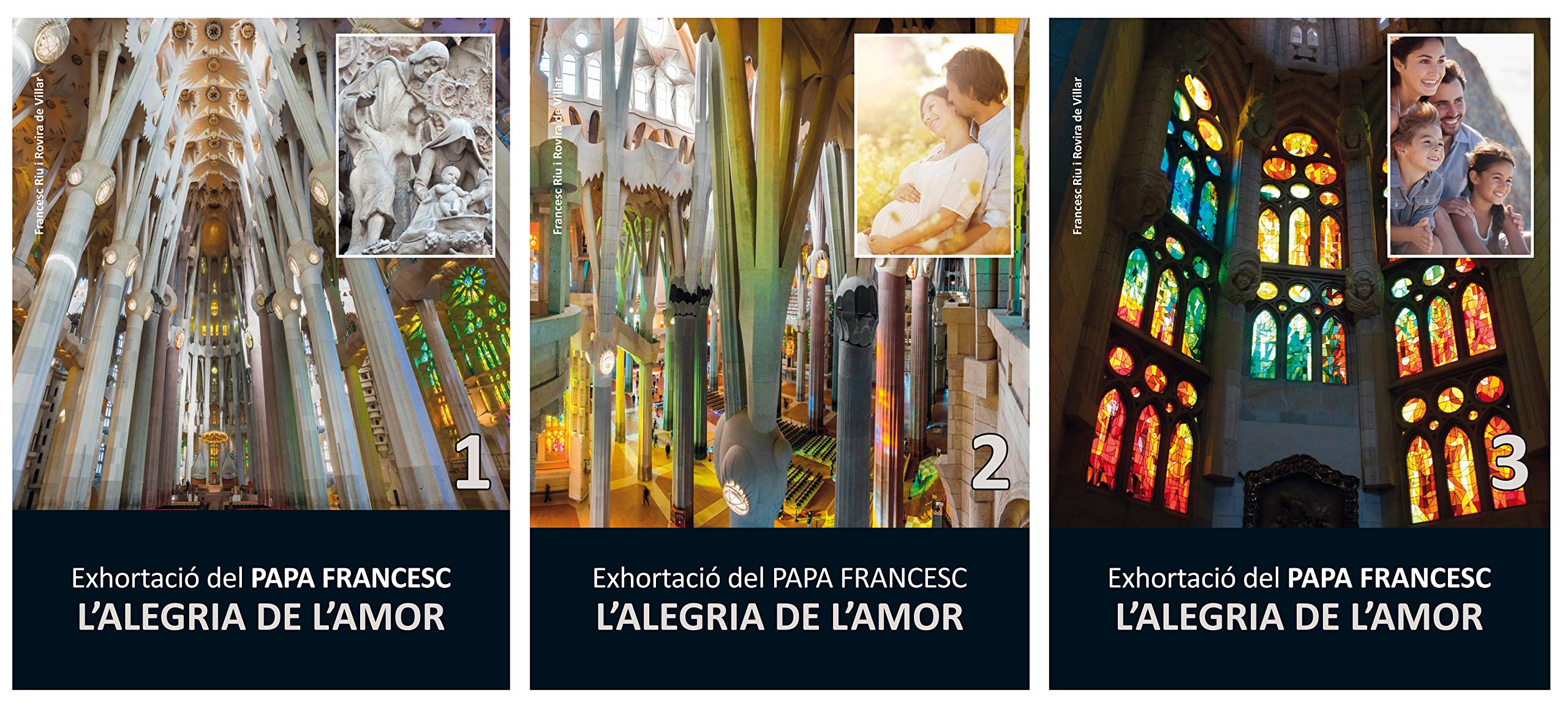 EXHORTACIÓ DEL PAPA: L'ALEGRIA DE L'AMOR (BIBLIOTECA RELIGIOSA) Education