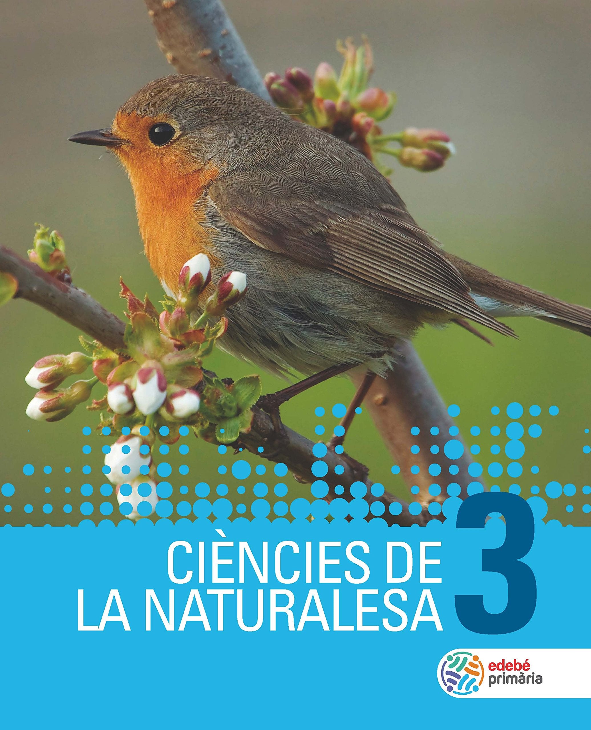 CIÈNCIES DE LA NATURALESA 3 book