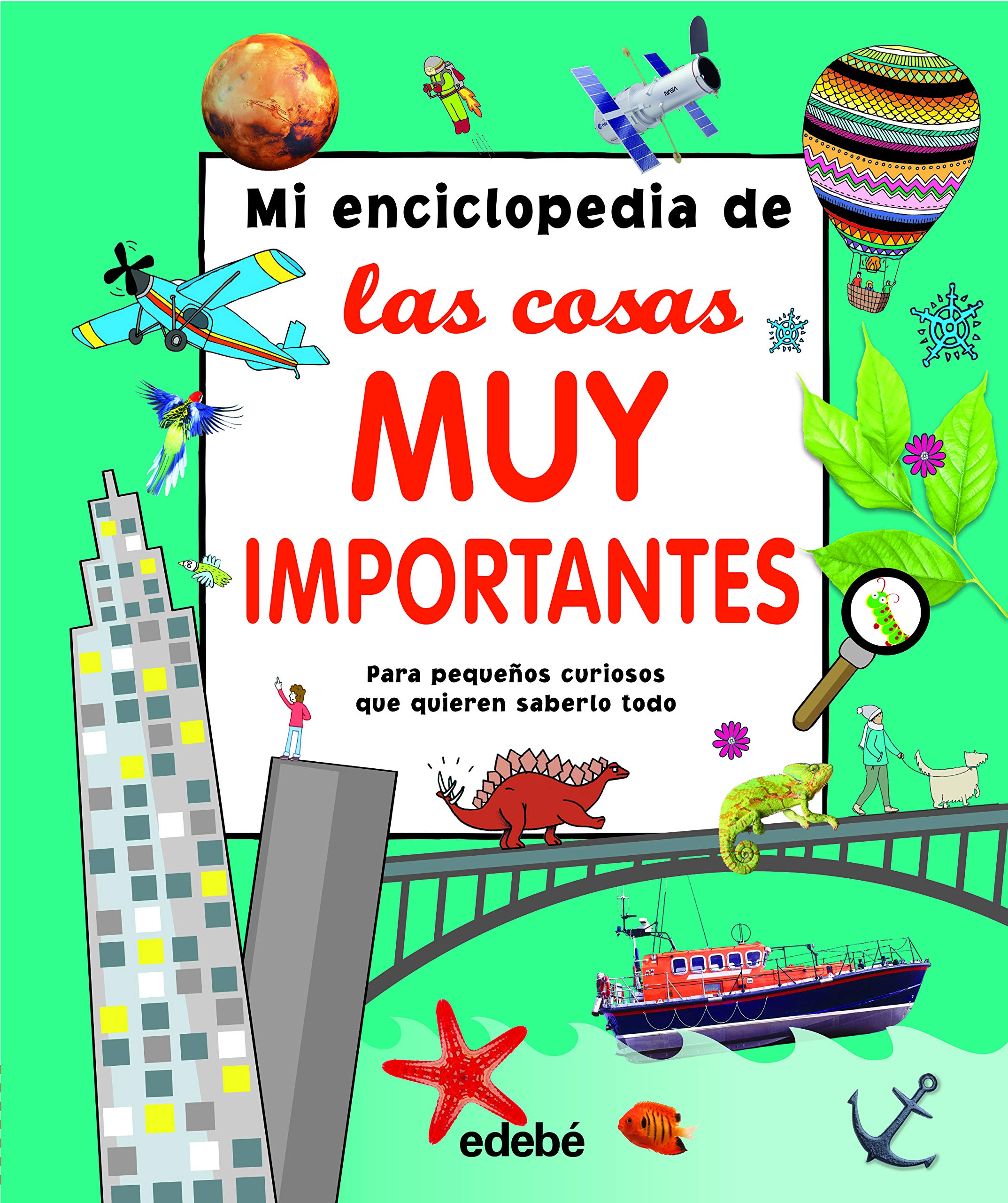 MI ENCICLOPEDIA DE LAS COSAS MUY IMPORTANTES (ENCICLOPEDIAS, ATLAS Y DICCIONARIOS) Non-fiction