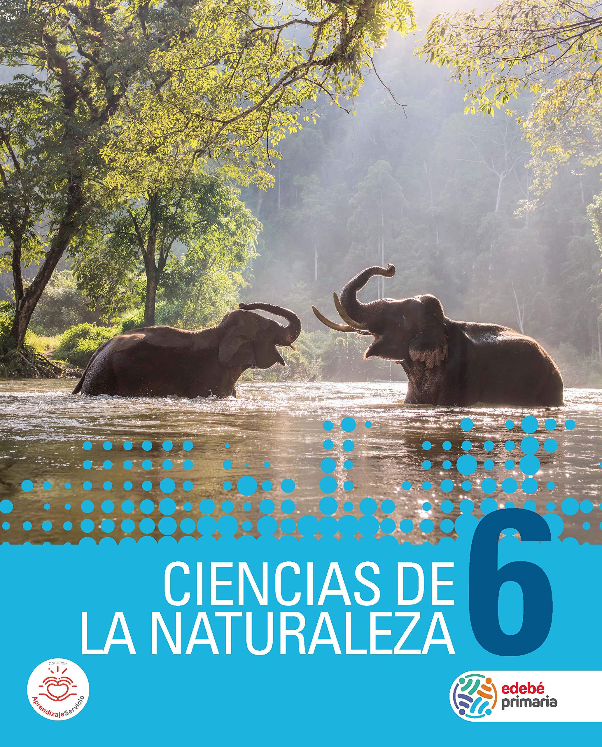 CIENCIAS DE LA NATURALEZA 6 (PRIMARIA 2018) Books
