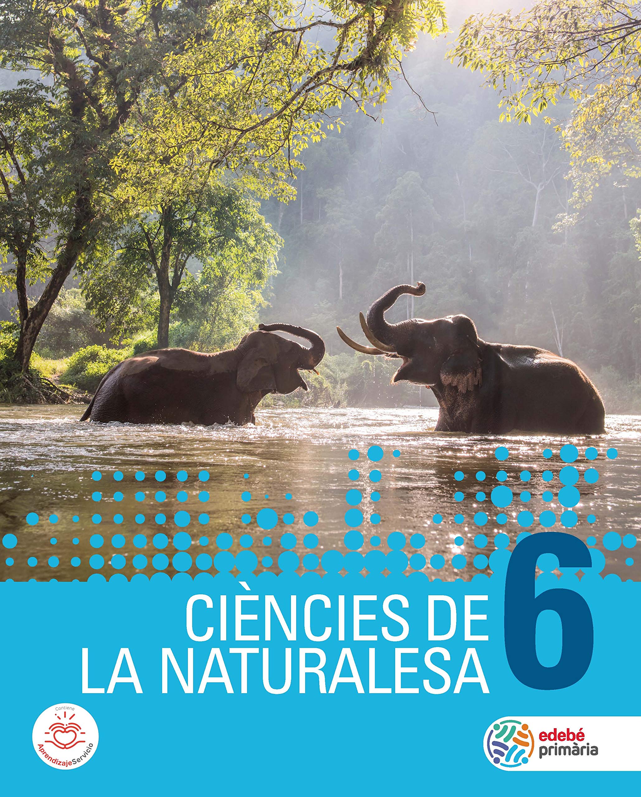 CIÈNCIES DE LA NATURALESA 6 book