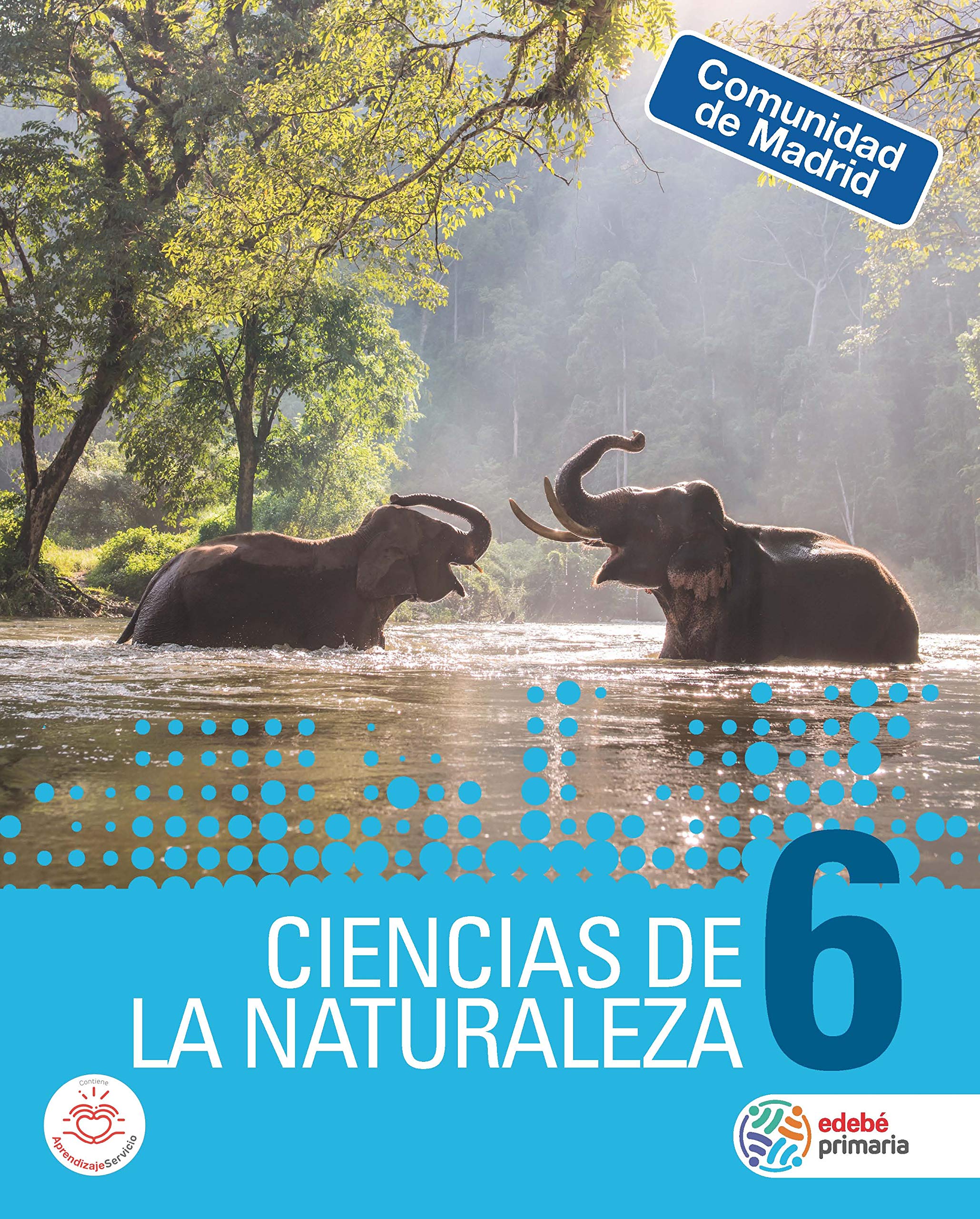 CIENCIAS DE LA NATURALEZA 6 Education