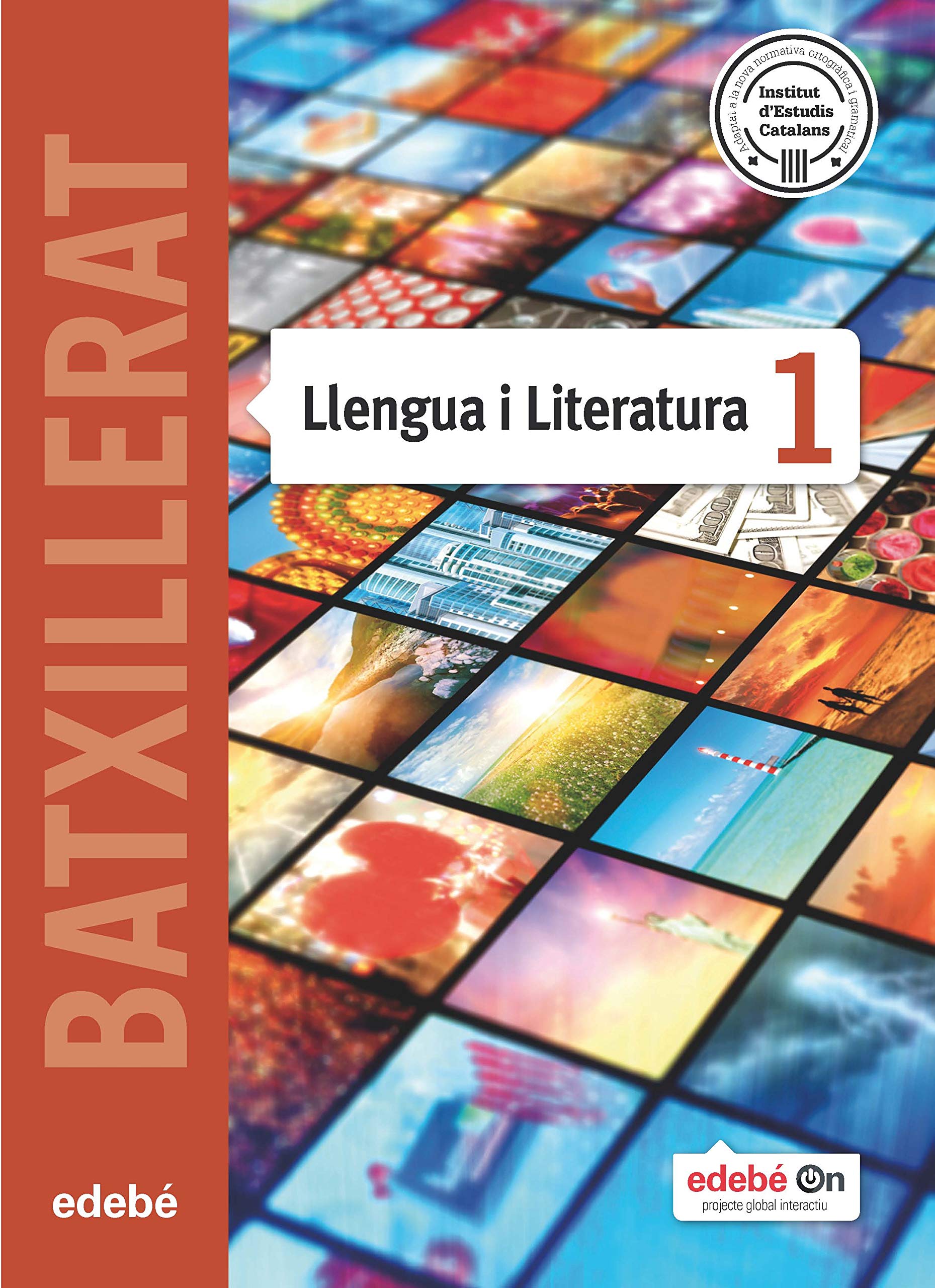 LLENGUA I LITERATURA 1 book