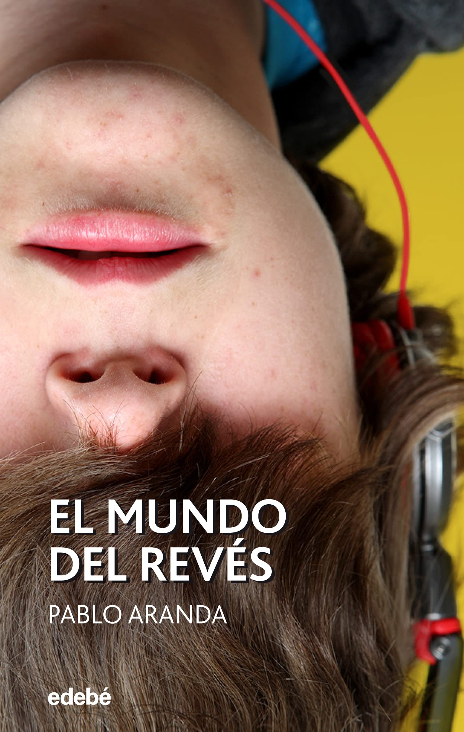EL MUNDO DEL REVÉS book