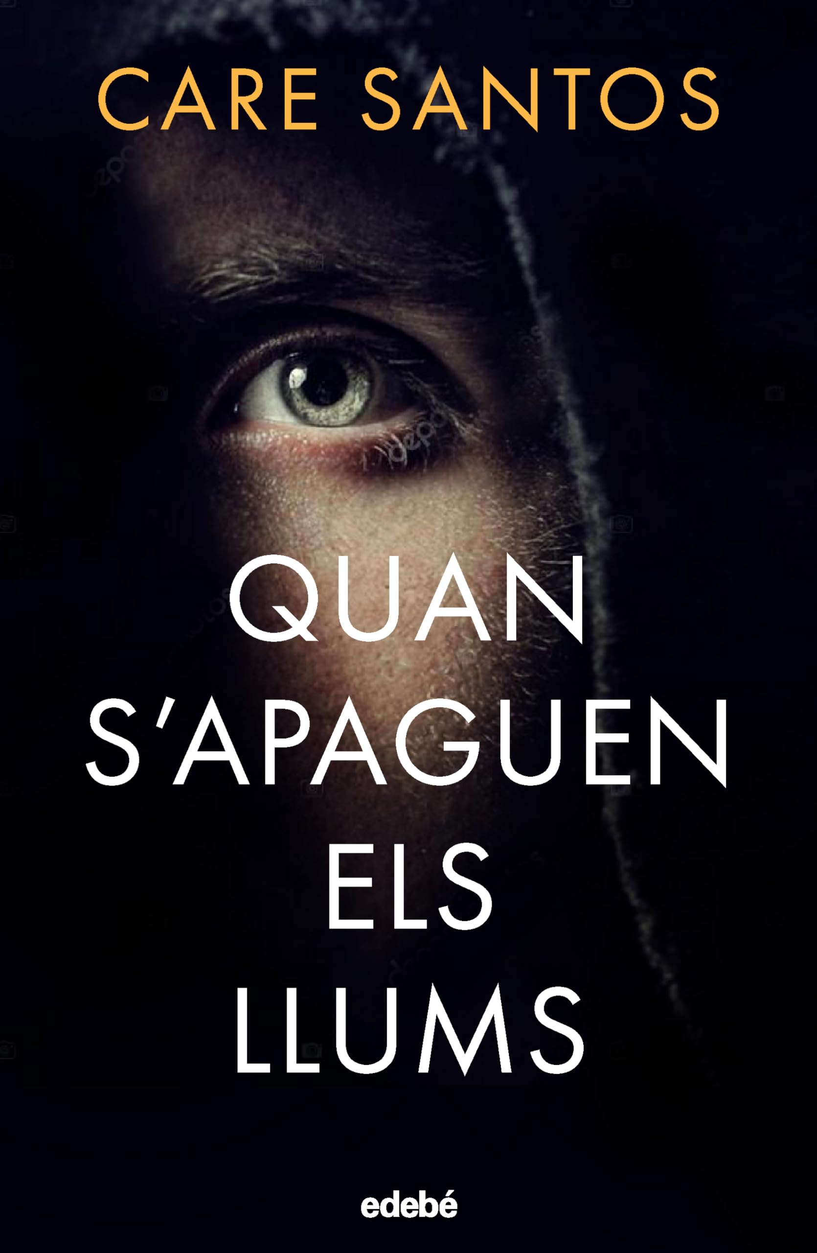 QUAN S'APAGUEN ELS LLUMS book