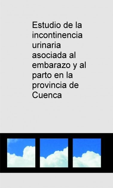 Estudio de la incontinencia urinaria asociada al embarazo y al parto en la provincia de Cuenca Books