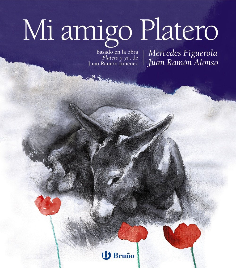 Mi Amigo Platero Social Sciences