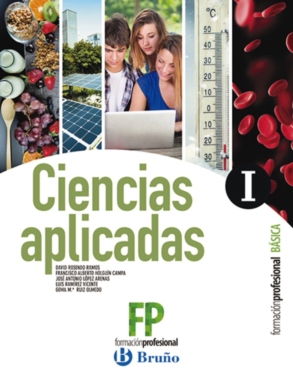 Ciencias Aplicadas I Formación Profesional Básica book