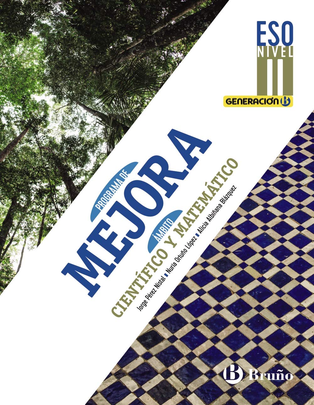 Generación B Programa de Mejora Ámbito Científico y Matemático ESO Nivel II book