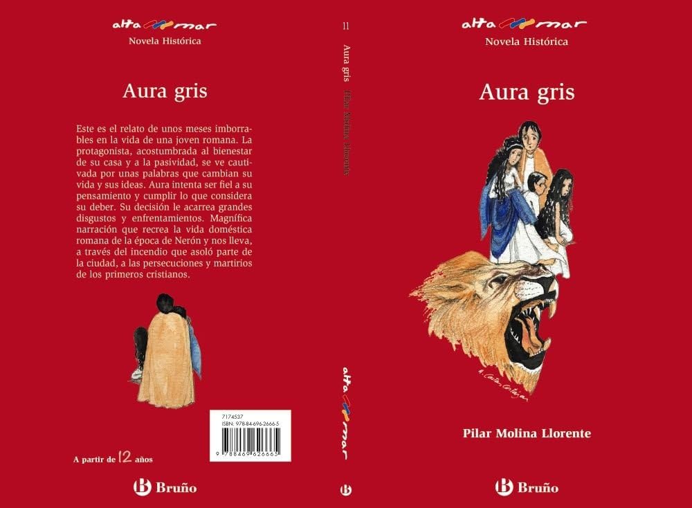 Aura gris (Castellano - A PARTIR DE 12 AÑOS - ALTAMAR) Fiction