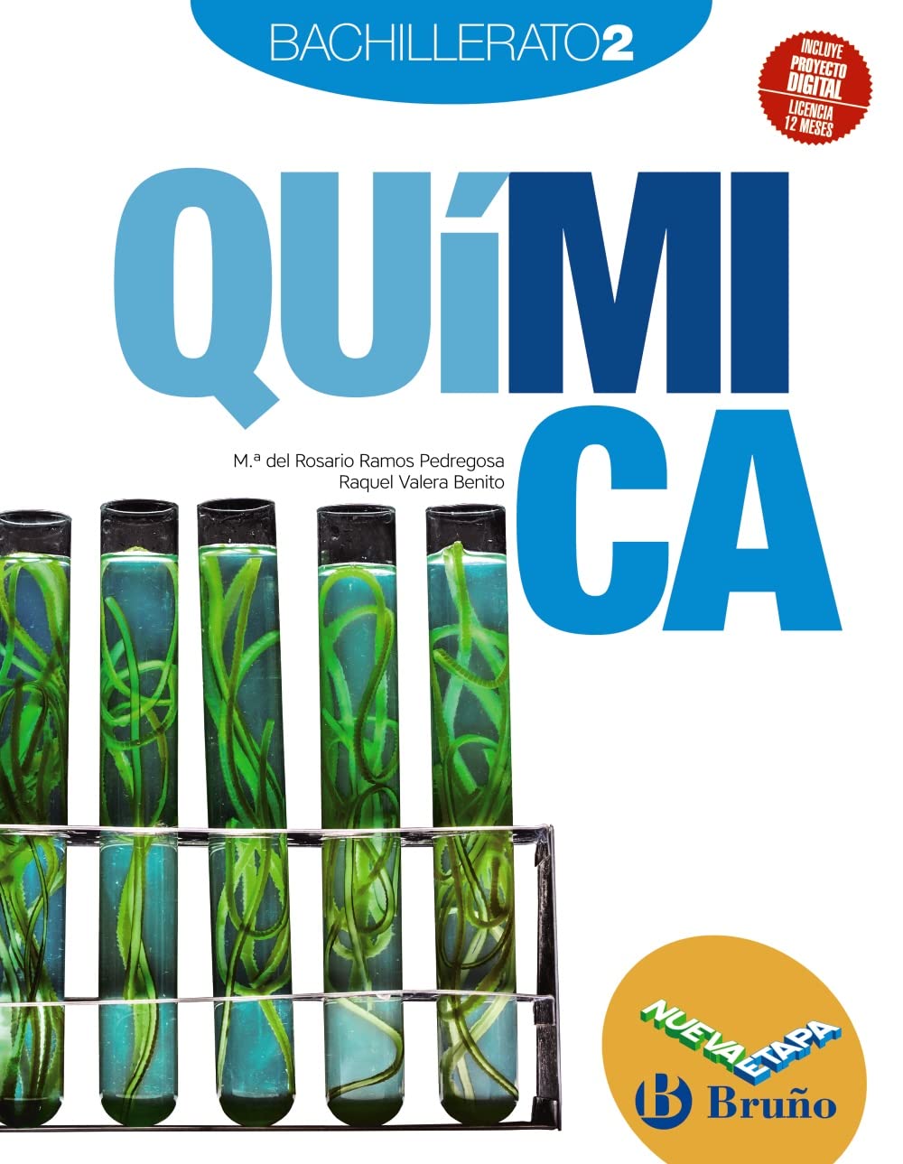 Química 2 Bachillerato Nueva etapa Bruño book