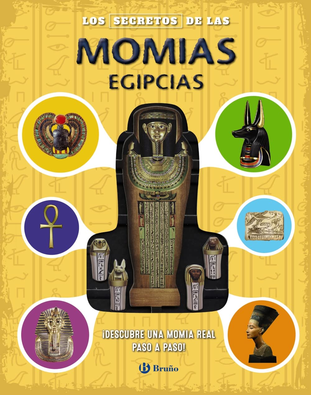 Los secretos de las momias egipcias book