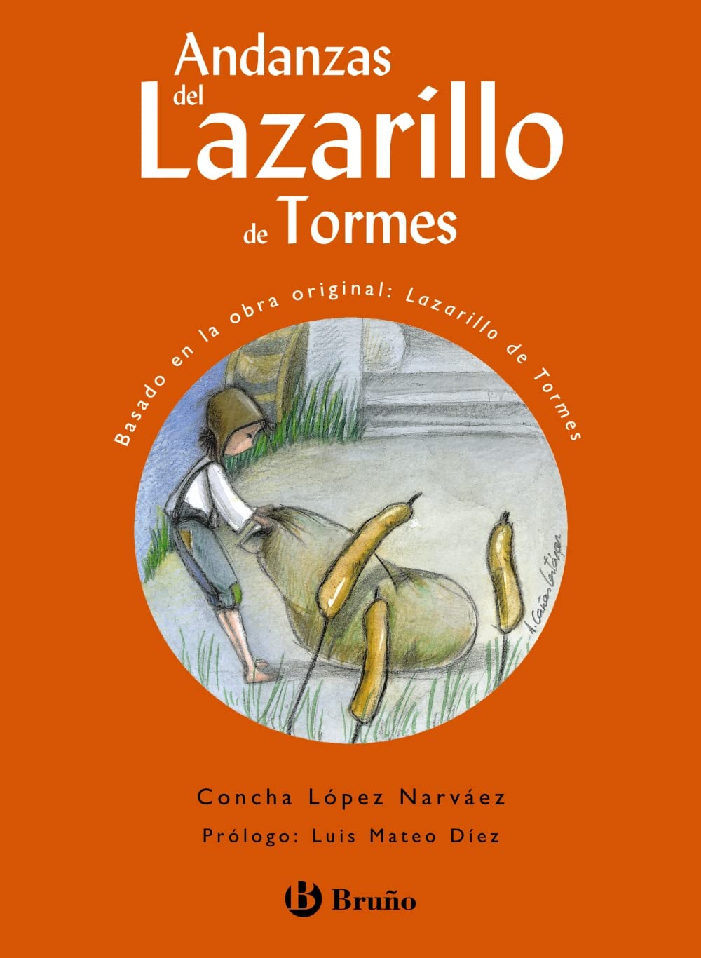 Andanzas del Lazarillo de Tormes book