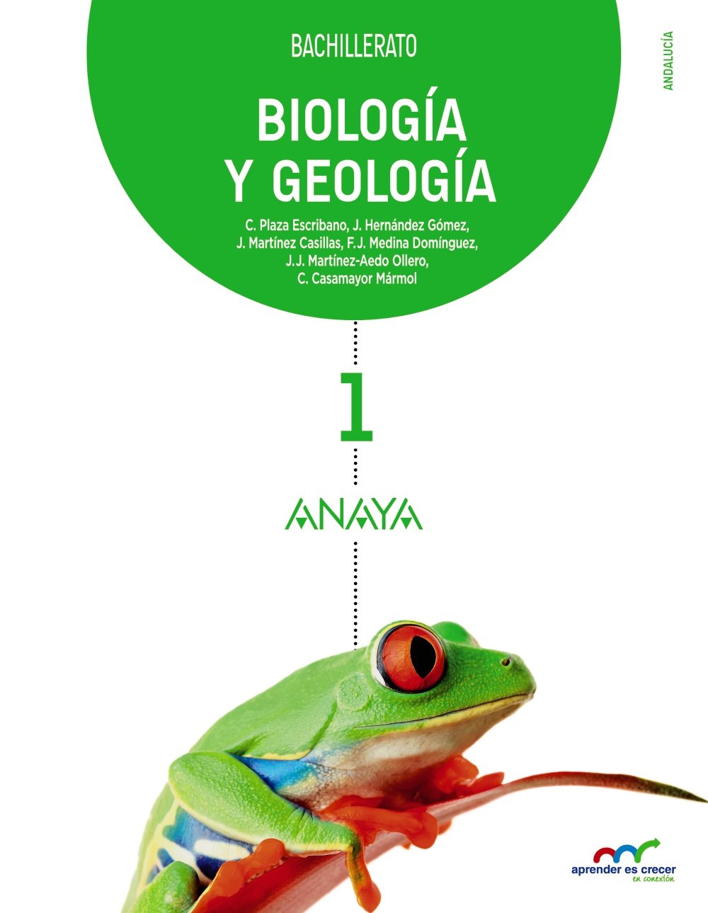Biología y Geología 1. book