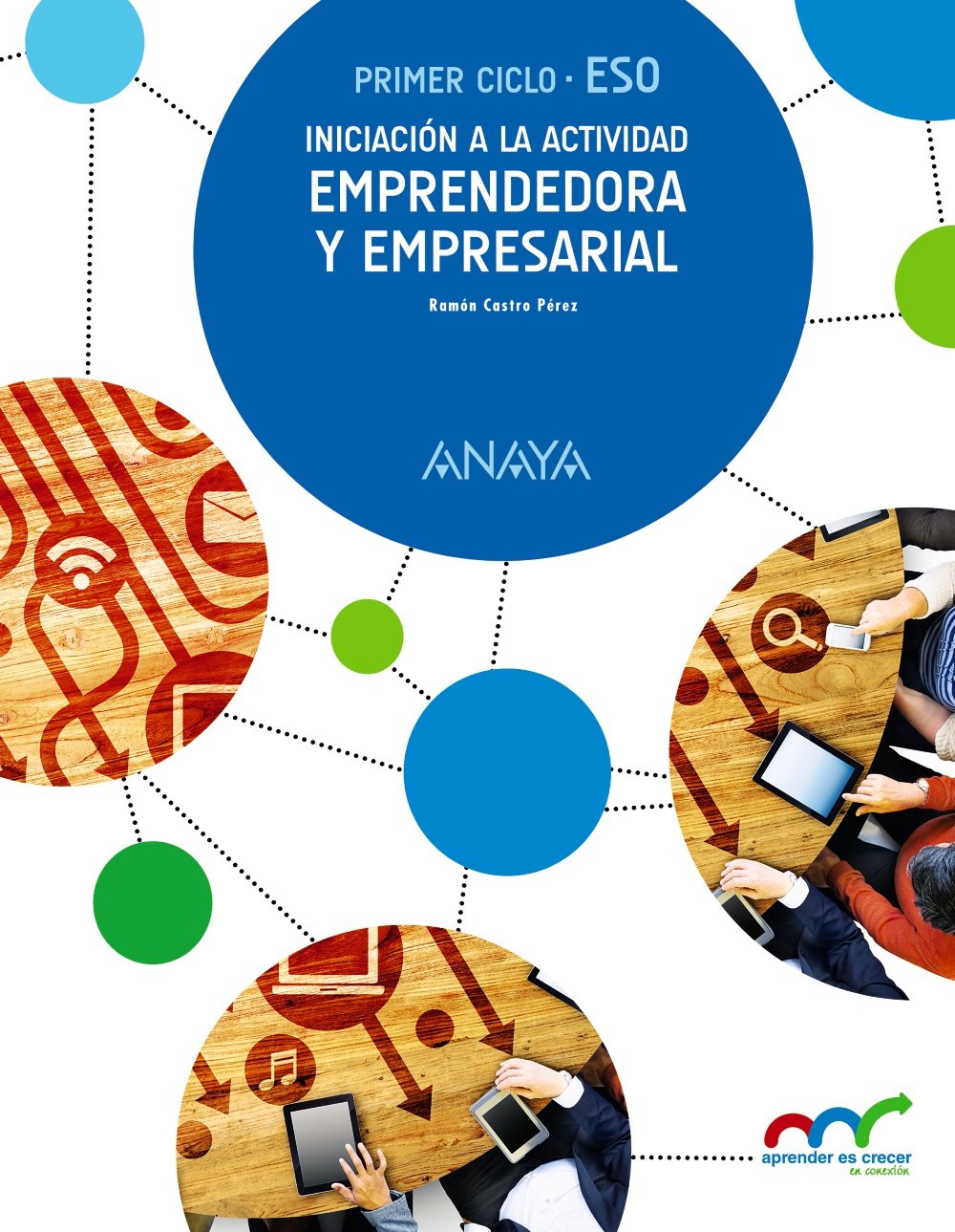 Iniciación a la Actividad Emprendedora y Empresarial. book