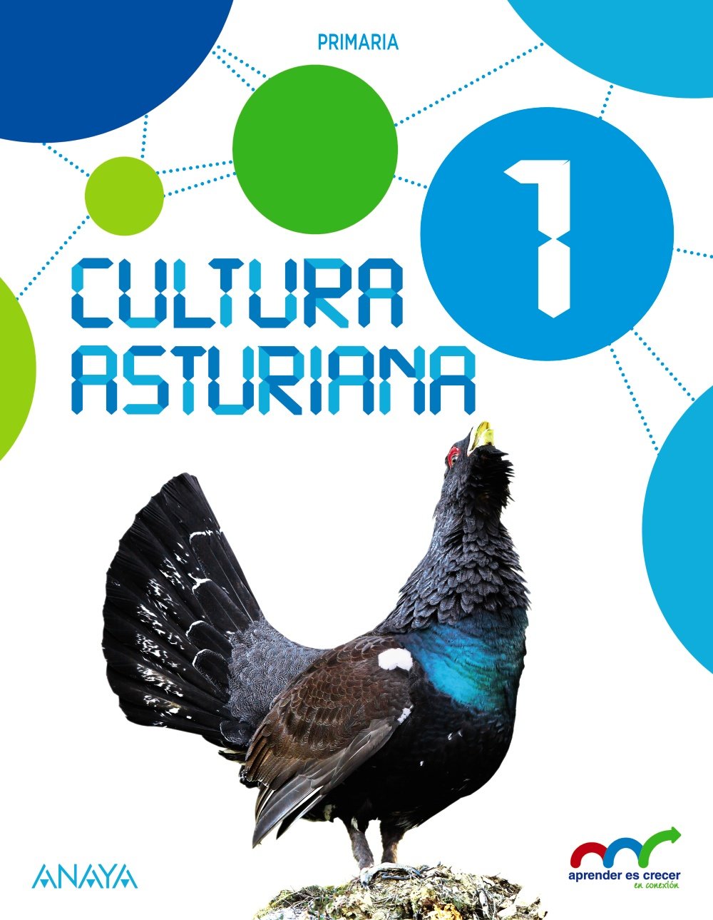 Cultura Asturiana 1. book