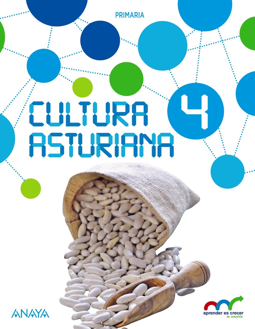 Cultura Asturiana 4. book
