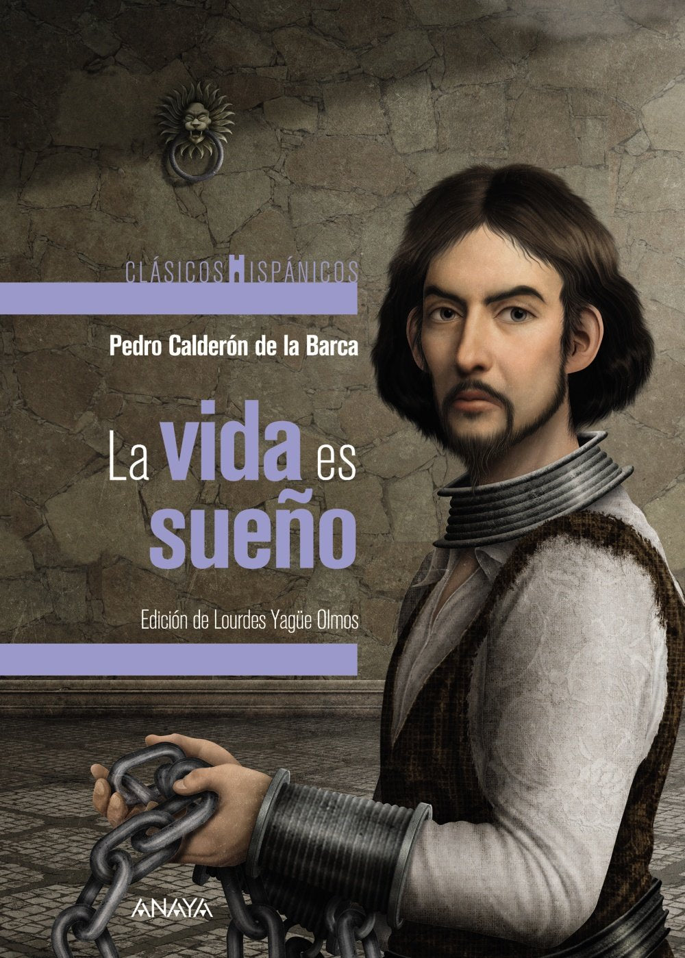 La vida es un sueño/ Life Is A Dream book