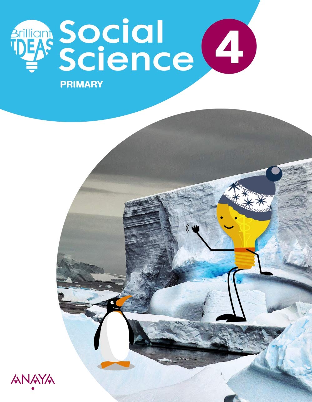 Social Science 4. Pupil's Book book