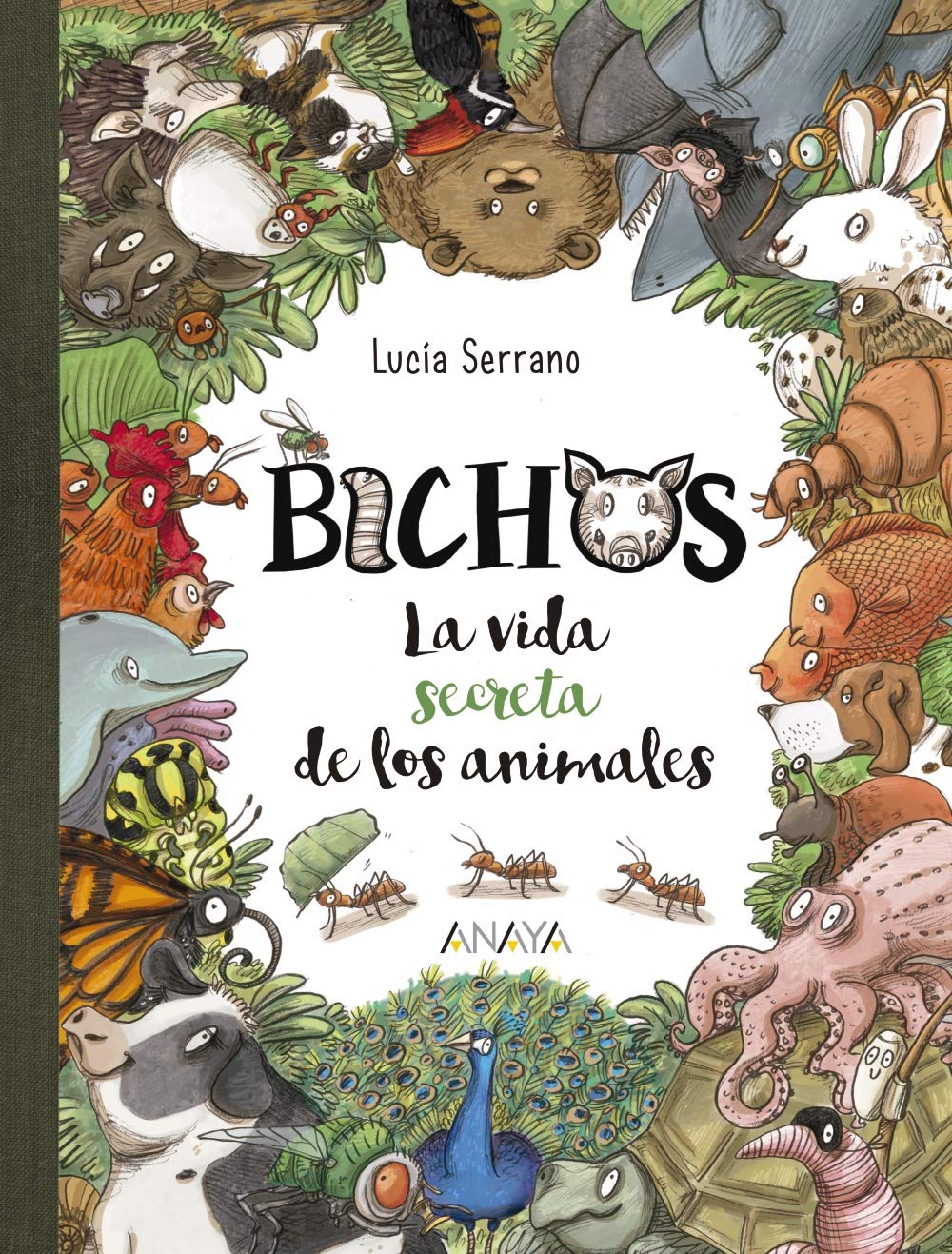 Bichos: La vida secreta de los animales (LITERATURA INFANTIL - Libros-Regalo) Novels & Short Stories