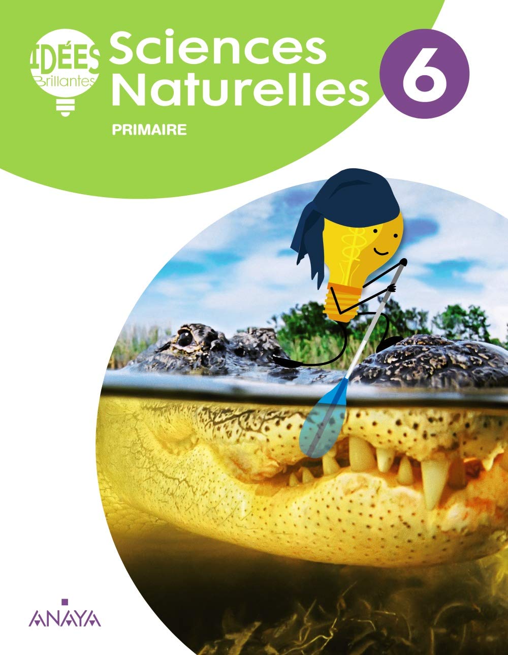 Sciences Naturelles 6. Livre de l'élève (Idées Brillantes) Novels & Short Stories