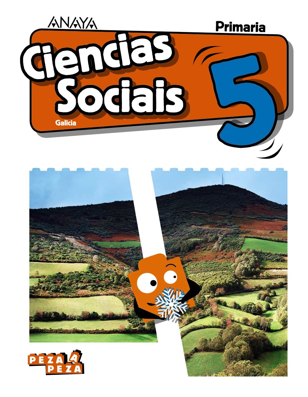 Ciencias Sociais 5. book