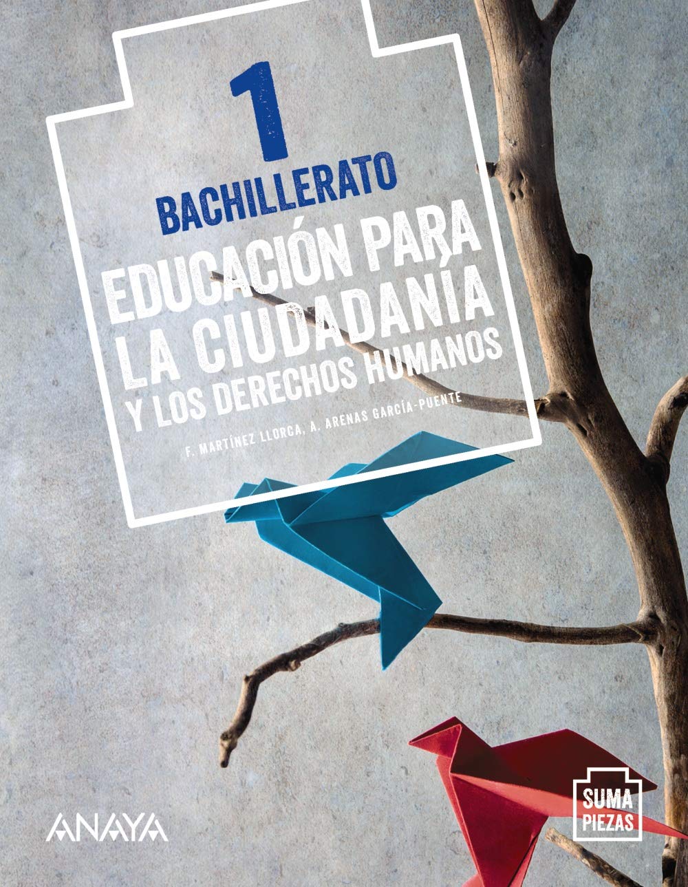 Educación para la Ciudadanía y los Derechos Humanos 1. book