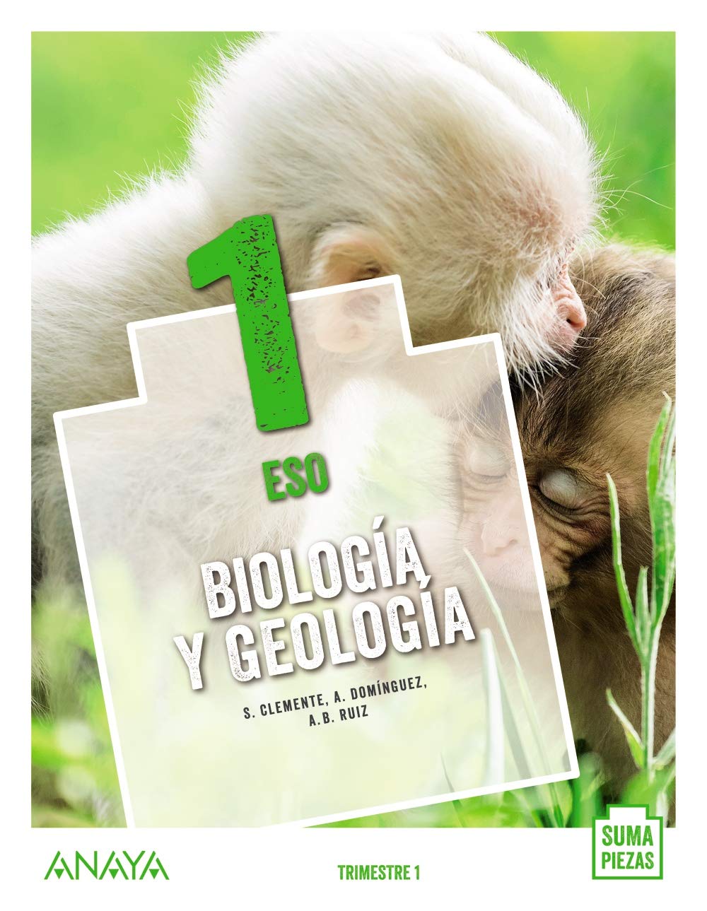 Biología y Geología 1. book