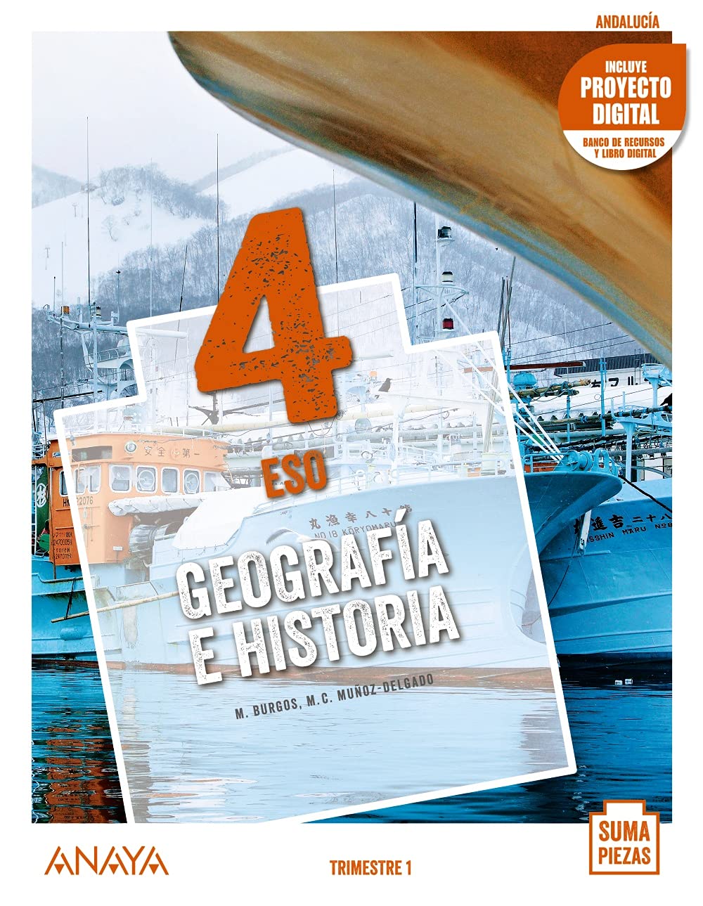 Geografía e Historia 4. (Trimestres) book