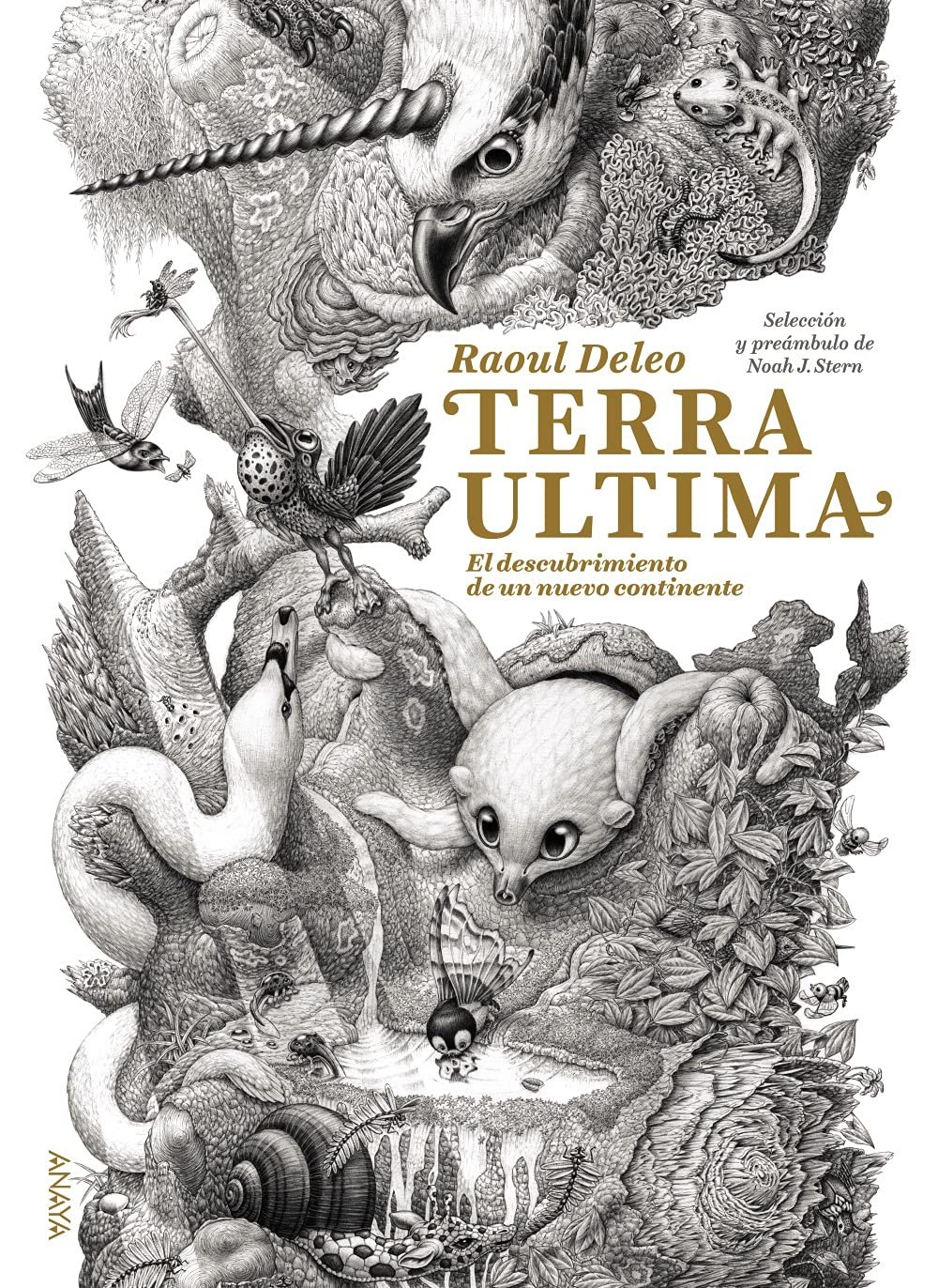 Terra Ultima: El descubrimiento de un nuevo continente (LITERATURA INFANTIL - Libros-Regalo) Non-fiction