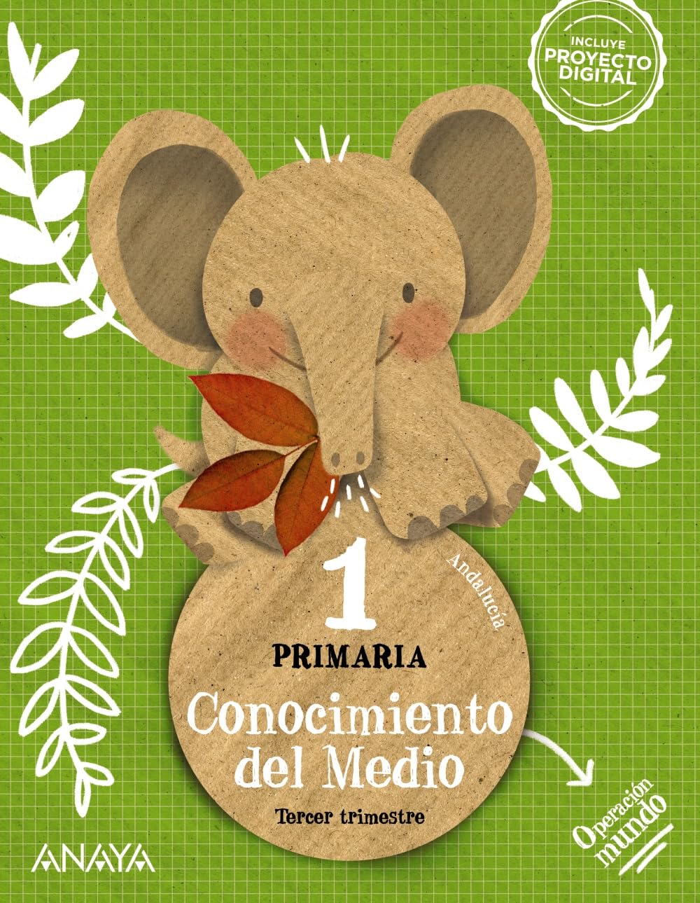 Conocimiento del Medio 1. Cuadrícula (Operación Mundo) Learning & Reference