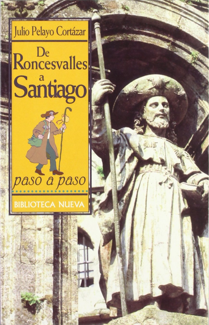 DE RONCESVALLES A SANTIAGO PASO A PASO: CRONICA DE UN VIAJE APASIONANTE book