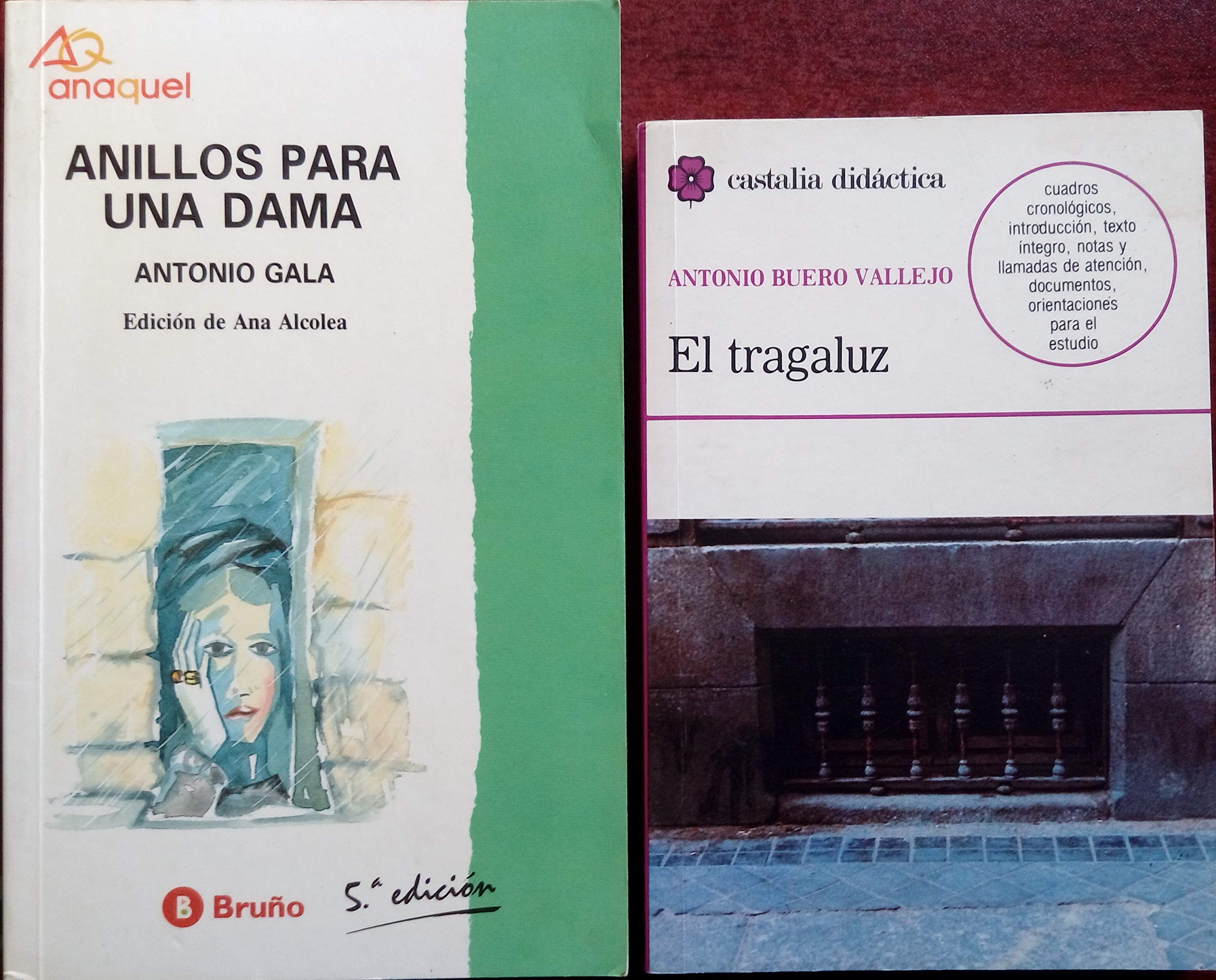 El tragaluz book