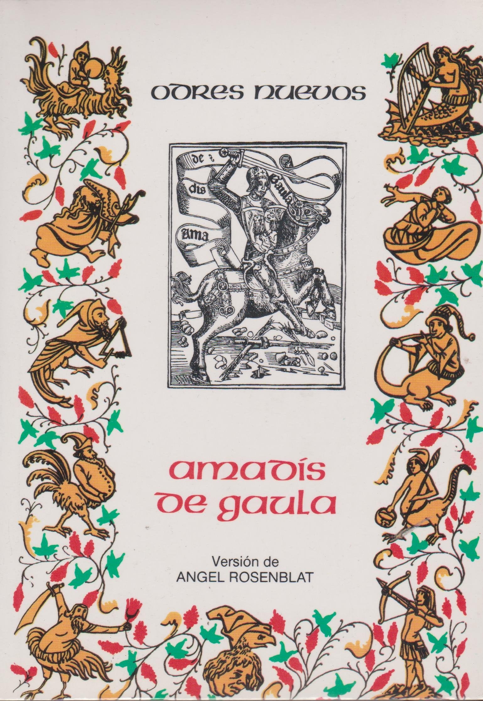 Amadís de Gaula (ODRES NUEVOS, Band 14) Contemporary literature