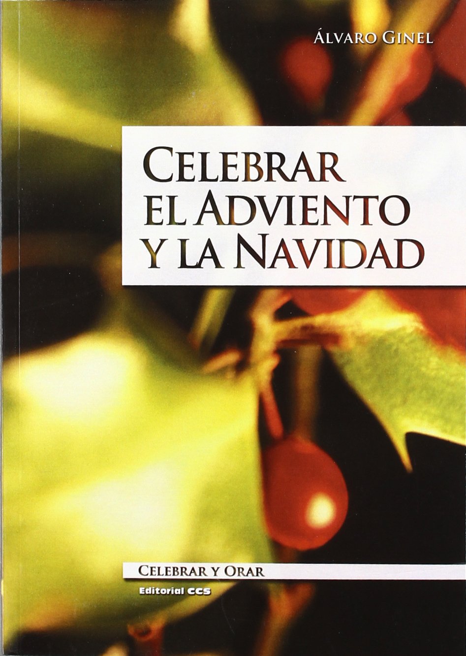 Celebrar El Adviento Y La Navidad - 9ª Edición book