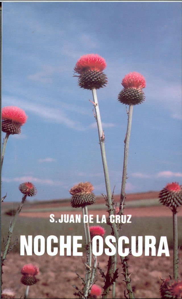 Noche oscura book