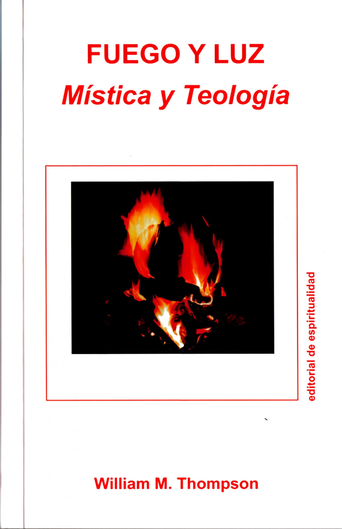 FUEGO Y LUZ: MÍSTICA Y TEOLOGÍA book