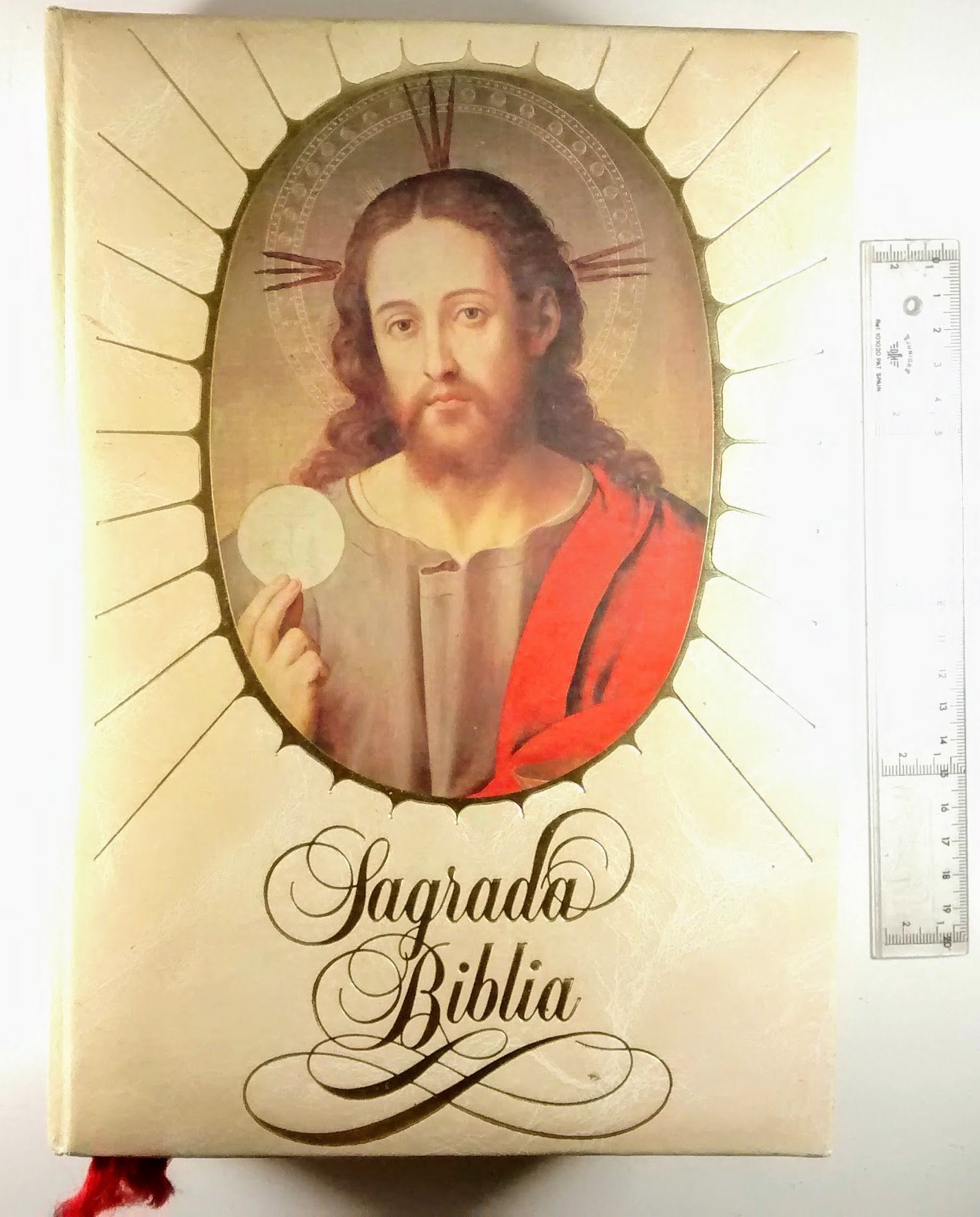 Sagrada Biblia book