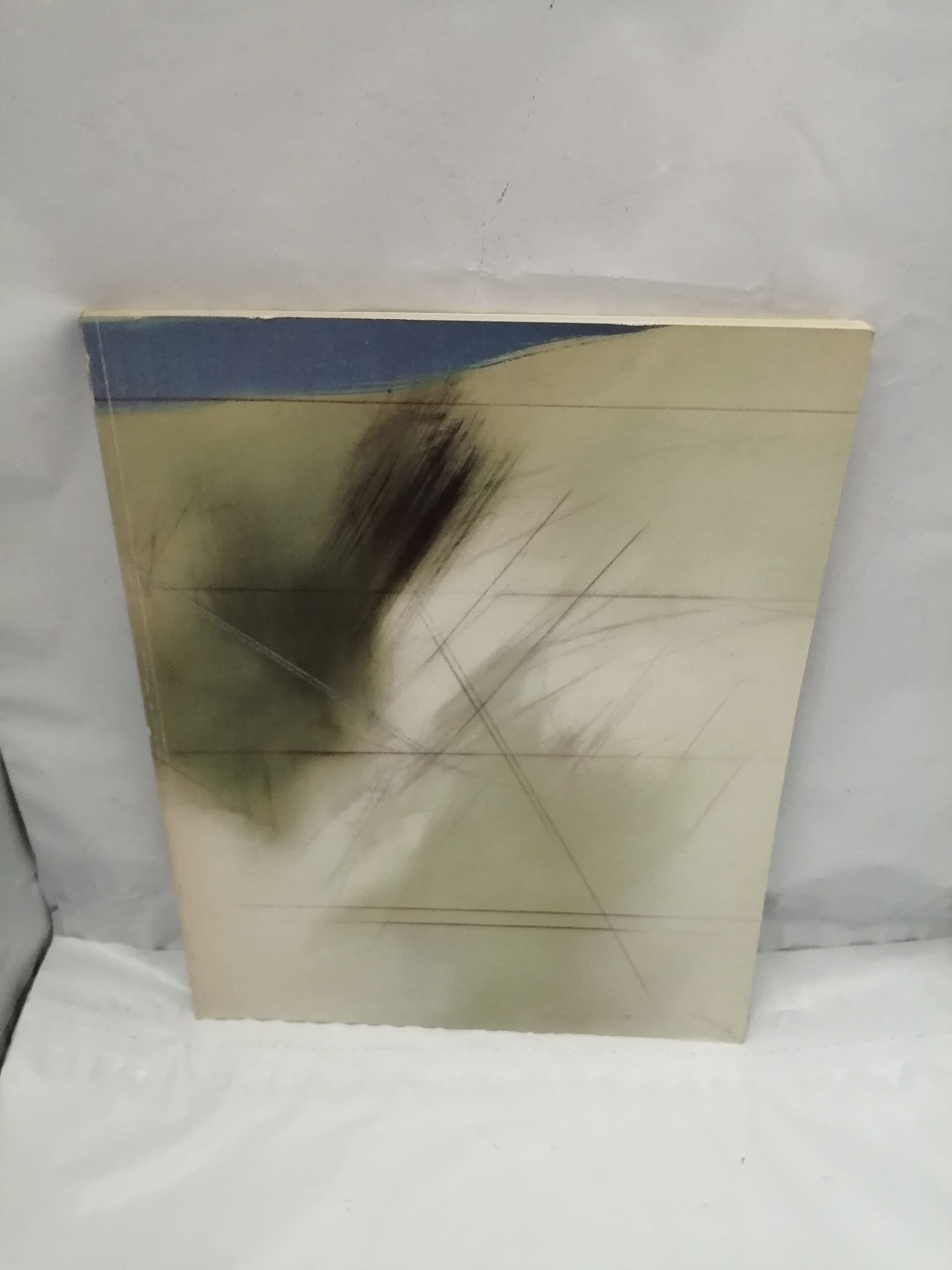 Fernando Zobel: Fundacion Juan March, 1984 Books