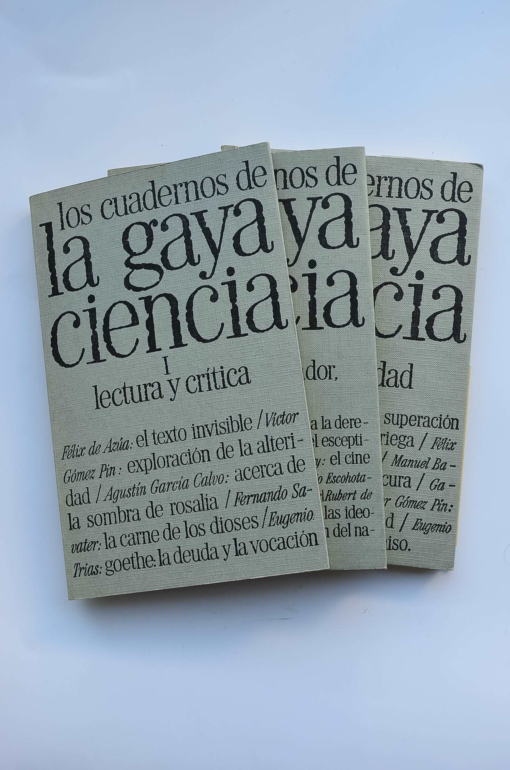 Cuadernos de la Gaya Ciencia, los Books