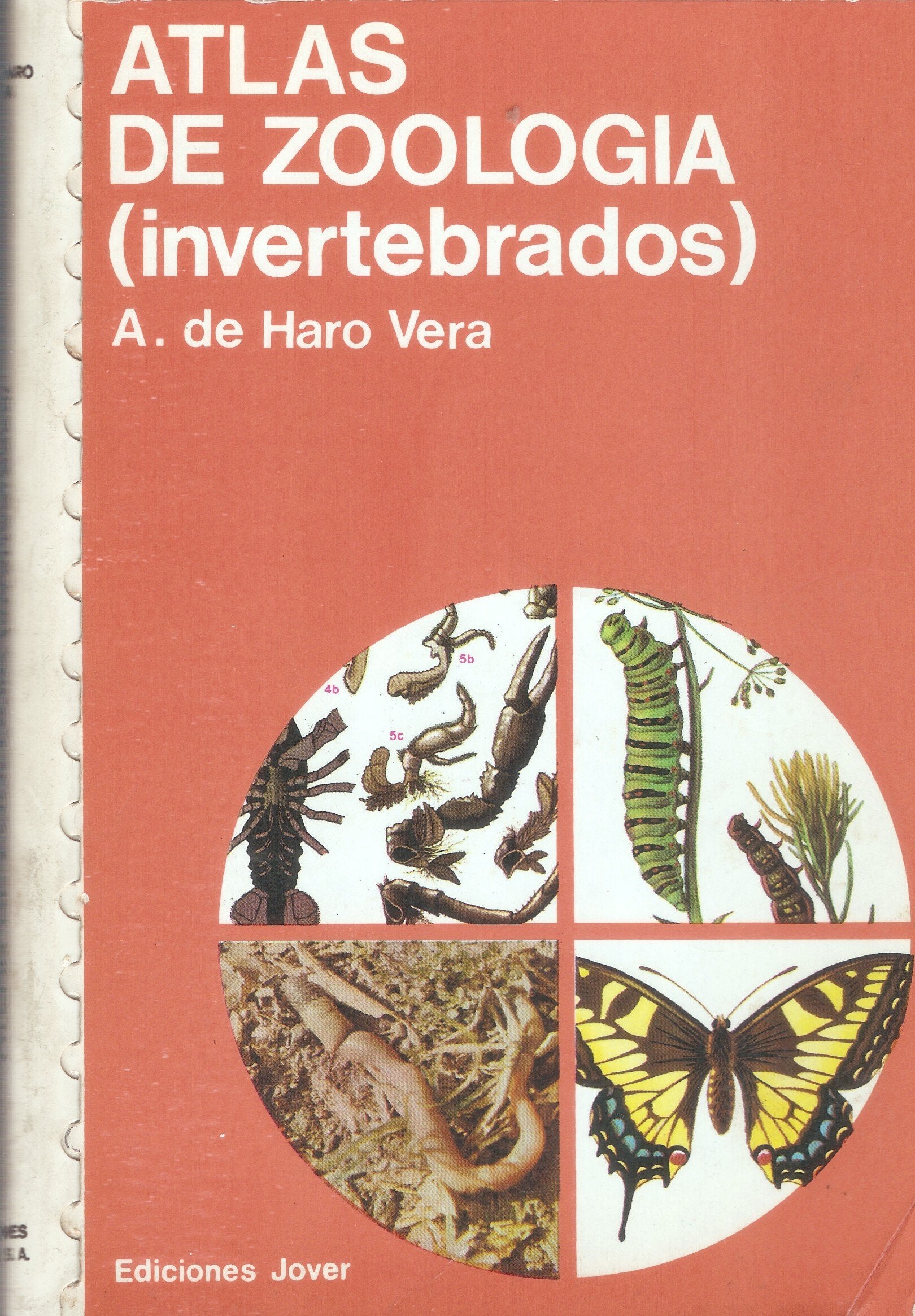 Atlas De Zoologia: Invertebrados/Atlas of Zoology : Invertebrates book