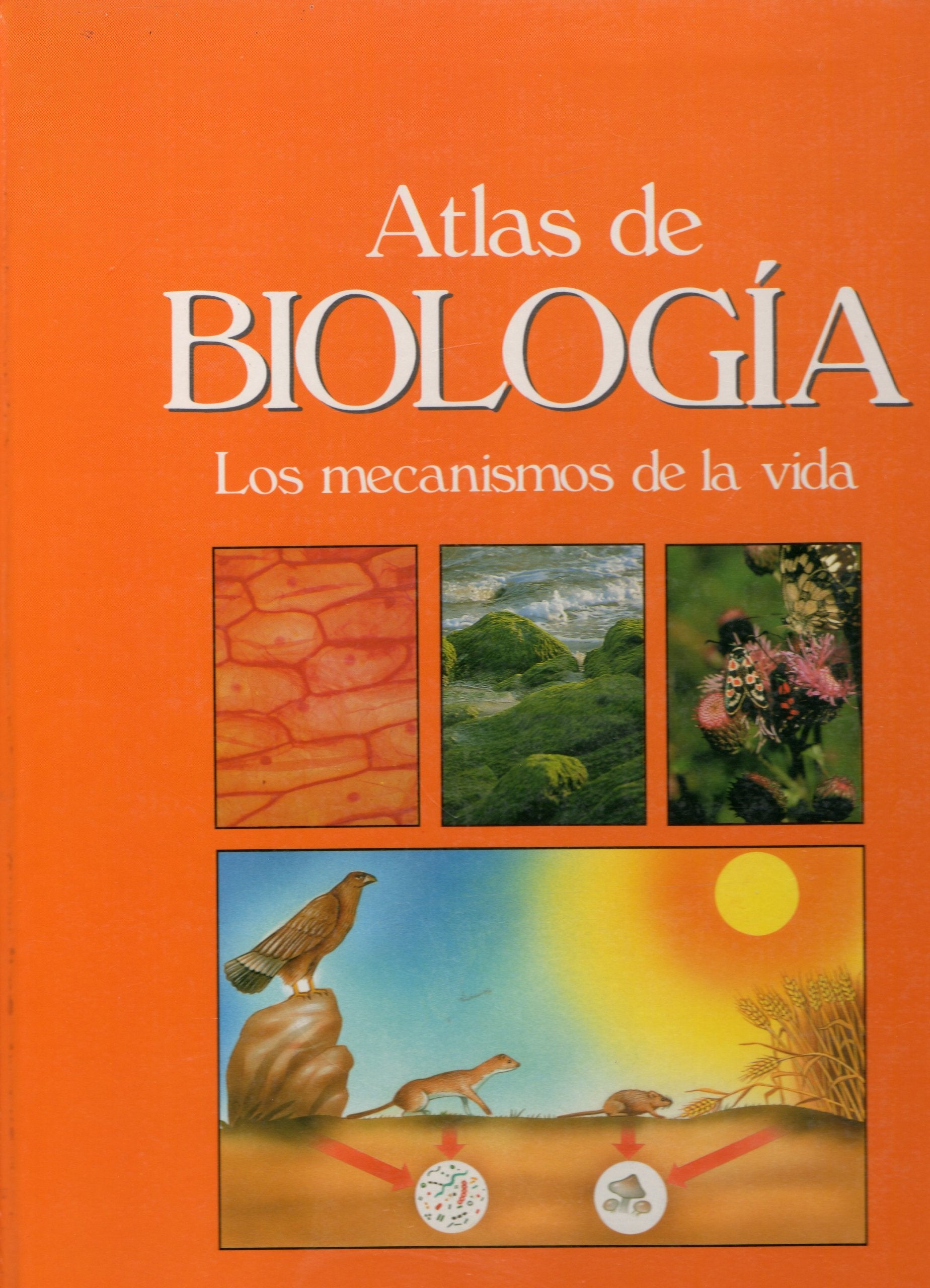 Atlas De Biologia/Atlas of Biology book