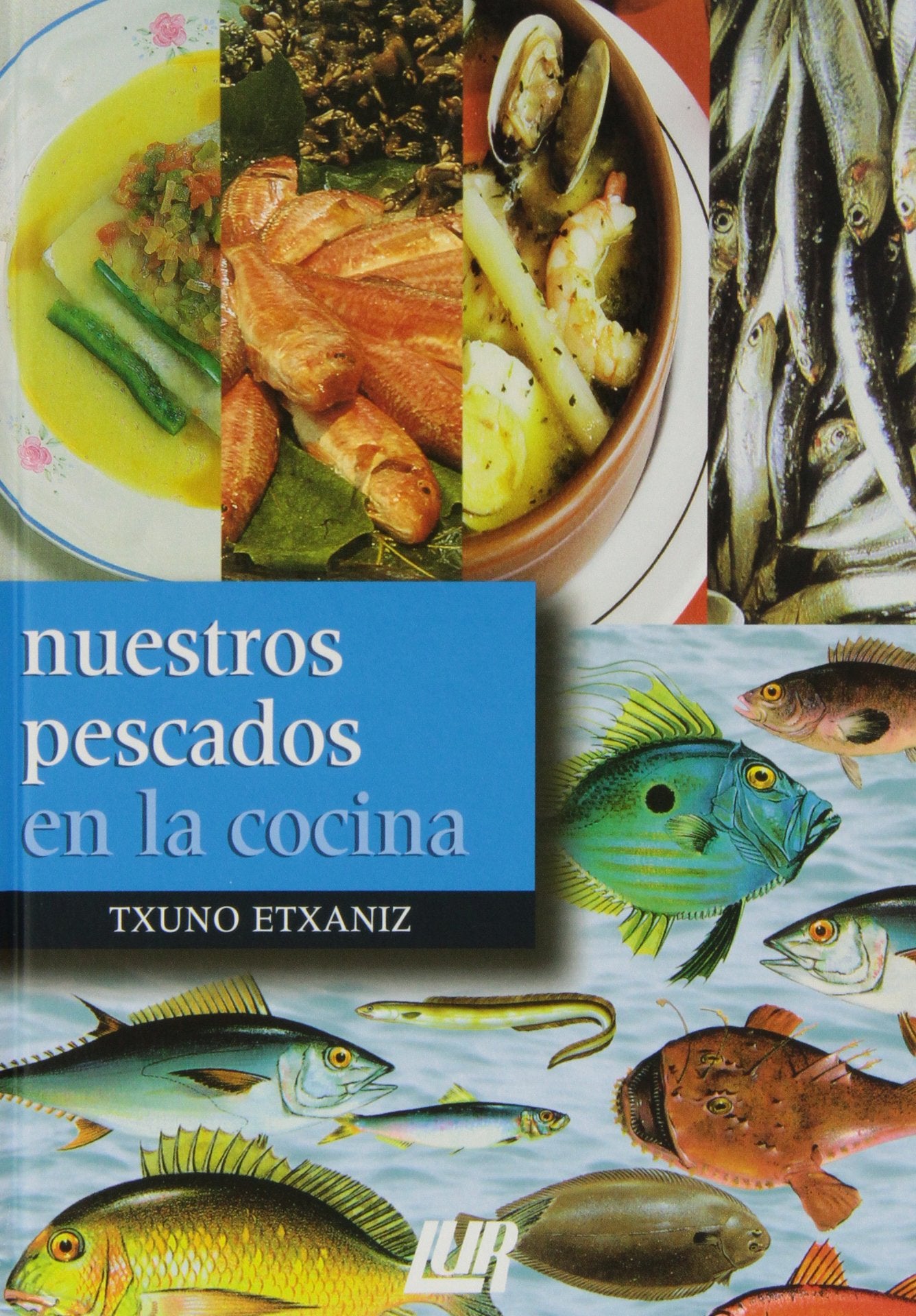 Nuestros pescados en la cocina Leisure, Home & Garden