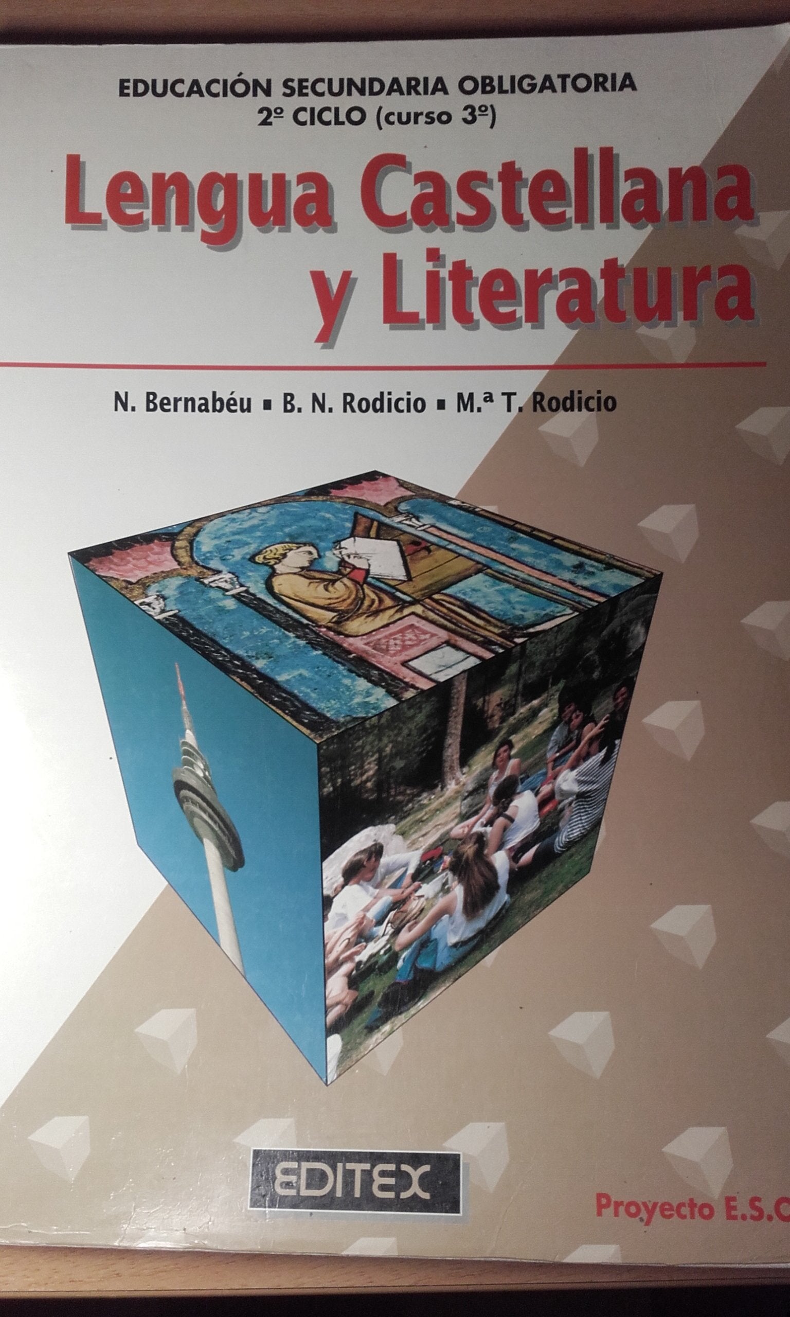 Lengua castellana y literatura book