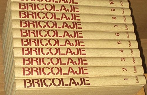 Enciclopedia Salvat del Bricolaje volumen 10 book
