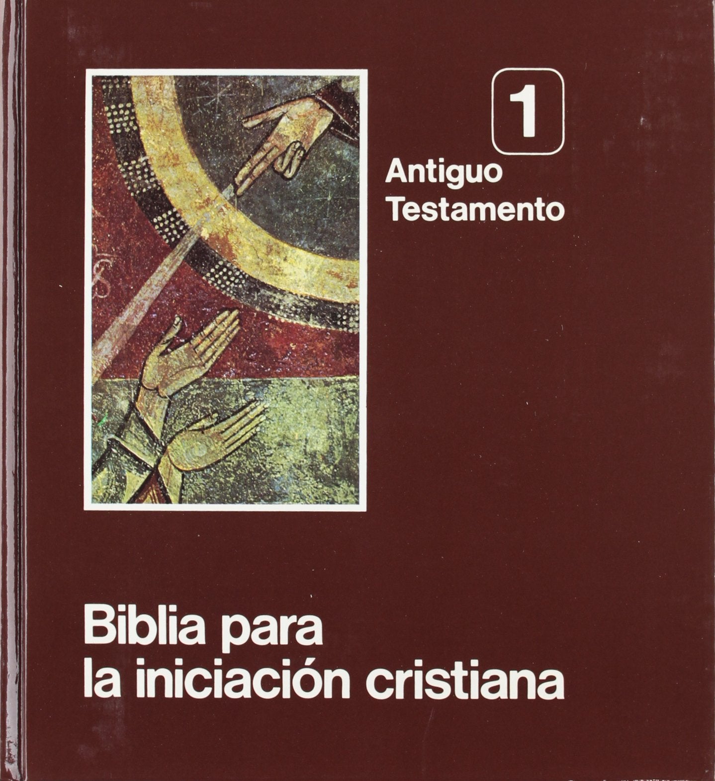 Biblia para la iniciación cristiana book