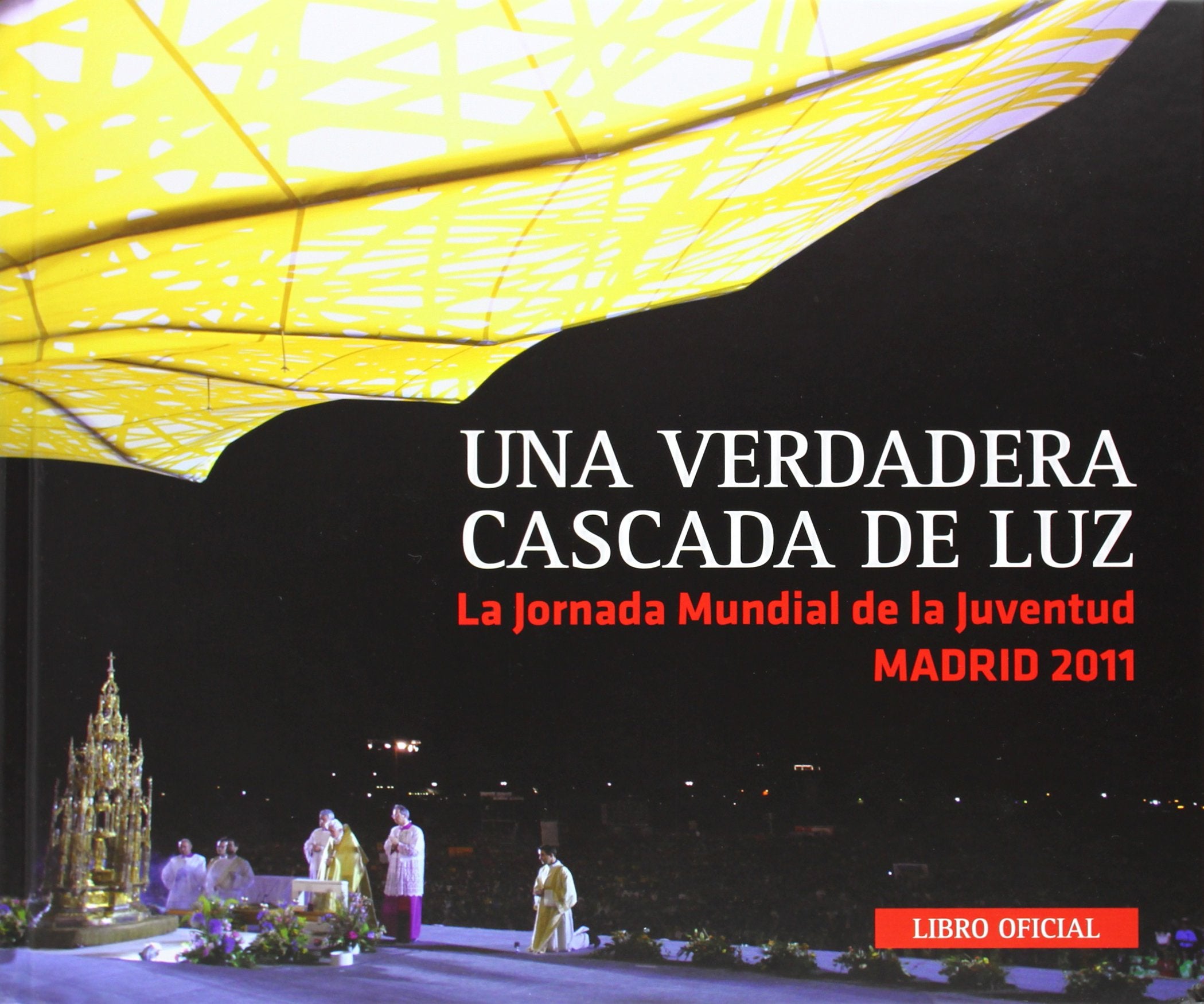 Una verdadera cascada de luz : libro oficial JMJ Madrid 2011 Learning & Reference