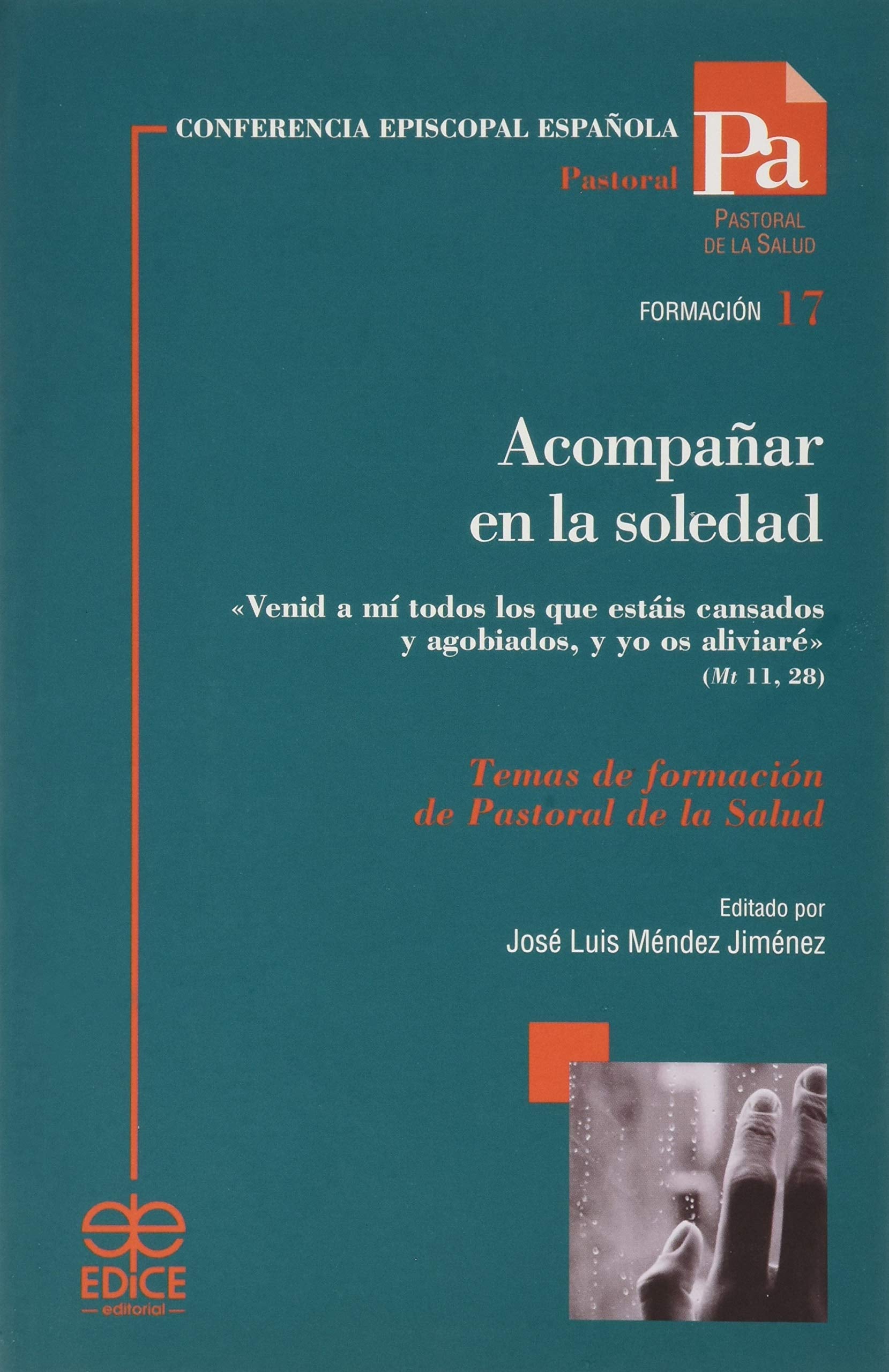 Acompañar en la soledad: Temas de formación de Pastoral de la Salud Books