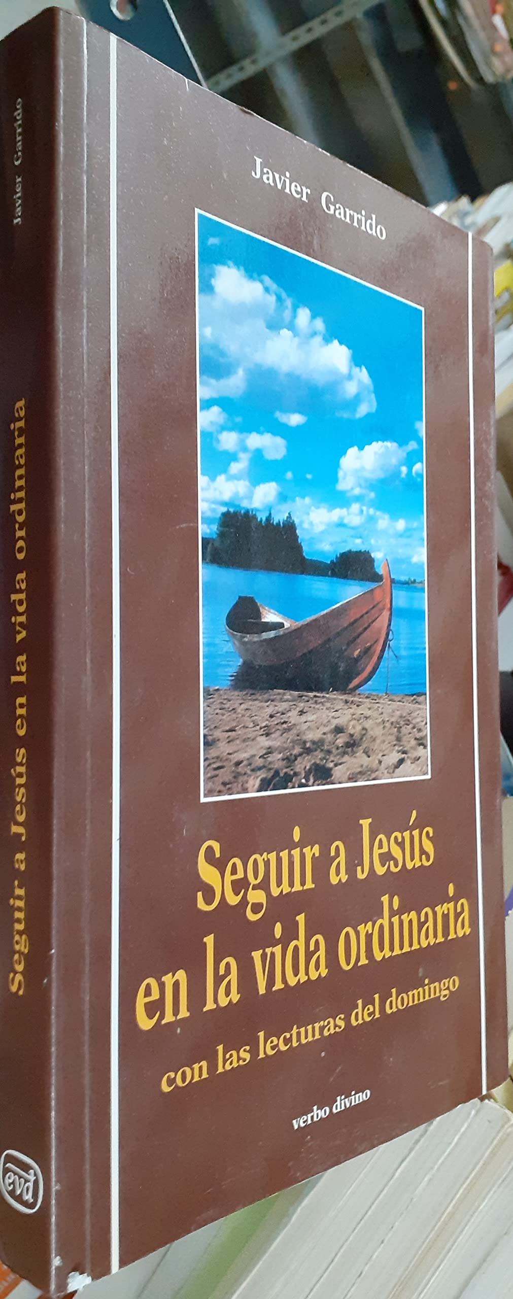 Seguir a Jesús en la vida ordinaria (Acción pastoral) Religion & Esotericism
