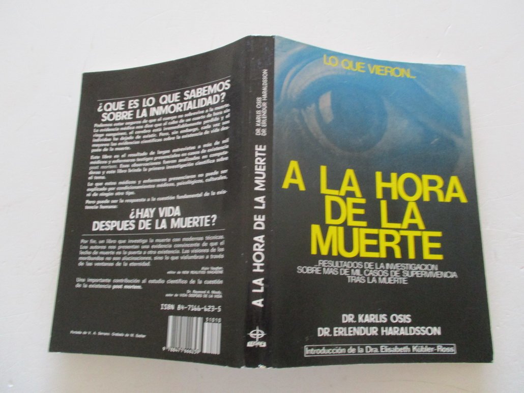 Lo que vieron a la hora de la muerte Books
